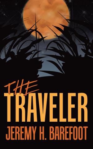 bigCover of the book The Traveler by 