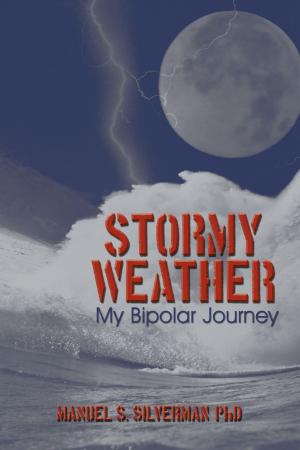 Cover of the book Stormy Weather by G.G. Rodriguez