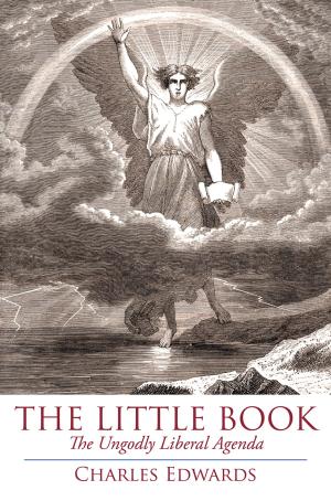 Cover of the book The Little Book by Heather Maria Ramirez