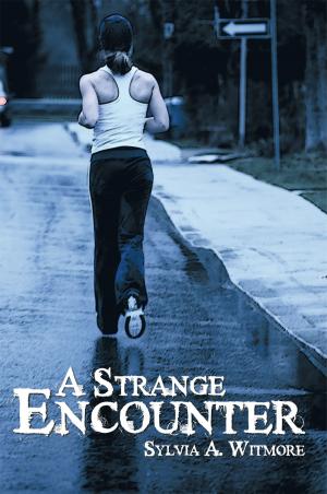 Cover of the book A Strange Encounter by John A. Hazlett M.B.A. JD