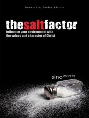Cover of the book The Salt Factor by Cynthia Harris Casteel