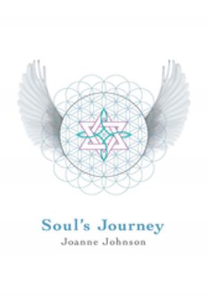Book cover of Soul's Journey