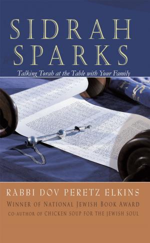 Cover of the book Sidrah Sparks by Lia Waterer
