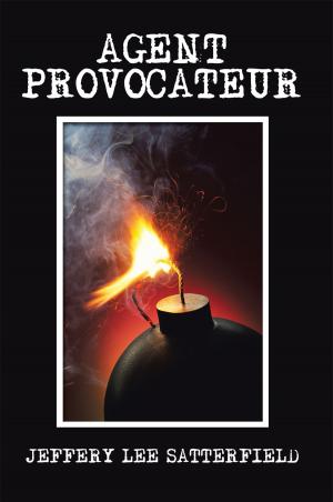 Cover of the book Agent Provocateur by PJ Grondin