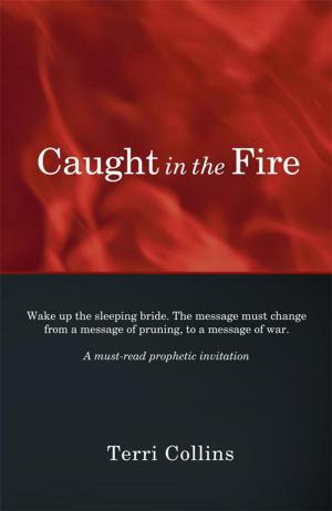 Cover of the book Caught in the Fire by Blessing Okechukwu Ezema