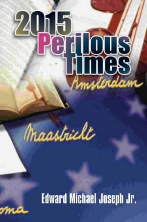 bigCover of the book 2015 Perilous Times by 
