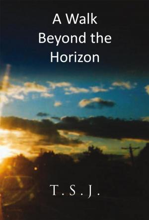 Book cover of A Walk Beyond the Horizon