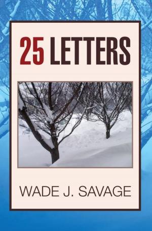 Cover of the book 25 Letters by Roemaine Hayden-Moore
