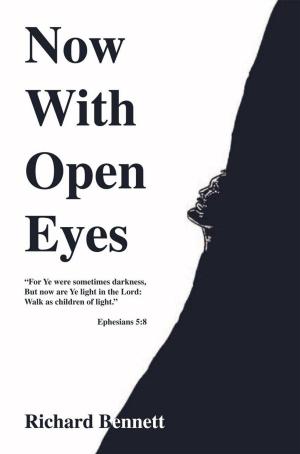 Cover of the book Now with Open Eyes by David Spangler