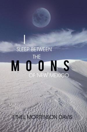 Cover of the book I Sleep Between the Moons of New Mexico by Kris Jones