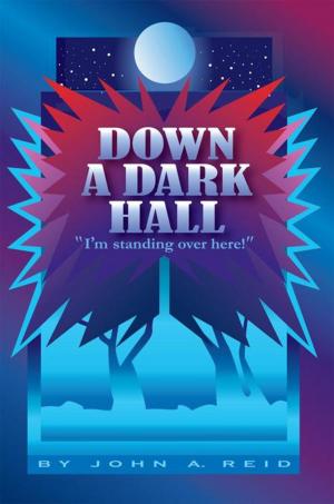Cover of the book Down a Dark Hall by Jim Smith