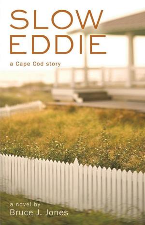 Book cover of Slow Eddie