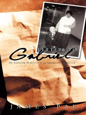 Cover of the book Letters to Gabriel by Joyce M. Price