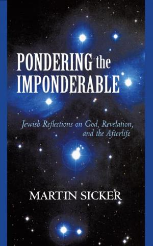 Cover of the book Pondering the Imponderable by Barry Connolly