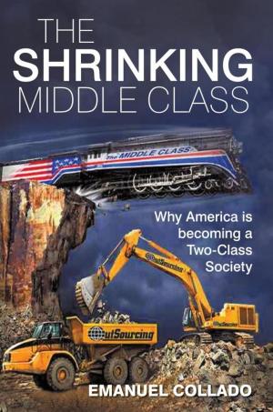 Cover of the book The Shrinking Middle Class by P.J. Hoge