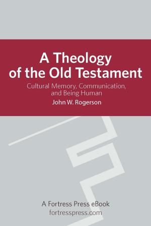 Cover of the book A Theology of the Old Testament by David Rhoads, Joanna Dewey, Donald Michie