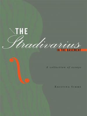 Cover of the book The Stradivarius in the Basement by Robert Lewis Schanke