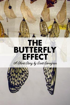 Cover of the book The Butterfly Effect by Thomas Biehl