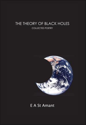 Book cover of The Theory of Black Holes