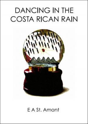 Book cover of Dancing in the Costa Rican Rain