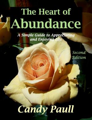 Book cover of The Heart of Abundance: A Simple Guide to Appreciating and Enjoying Life
