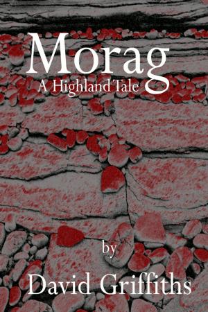 Book cover of Morag