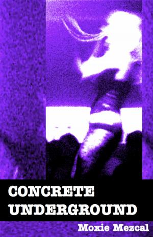 Cover of the book Concrete Underground by Nicholas Morine