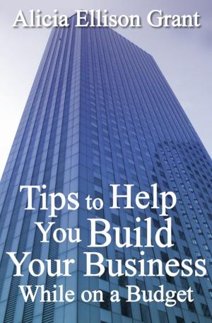 Cover of the book Tips to Help You Build Your Business While On A Budget by Ron Smith