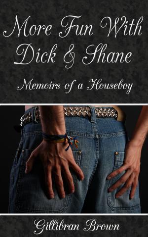 Cover of the book More Fun with Dick and Shane by Brian Clopper