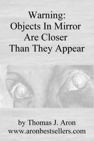 Cover of the book Warning: Objects In Mirror Are Closer Than They Appear by arnaldo s. caponetti
