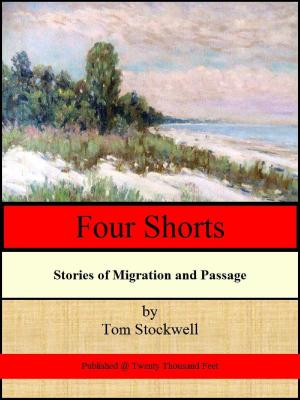 Cover of the book Four Shorts by Christopher Hennessy