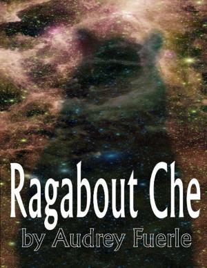Book cover of Ragabout Che