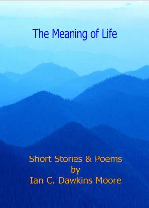 Cover of the book The Meaning of Life by Rusty Hunt