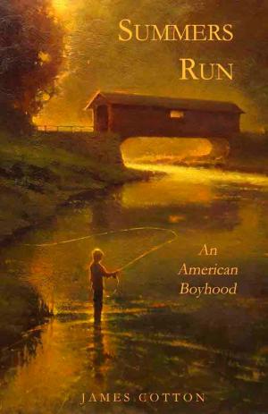 bigCover of the book Summers Run: An American Boyhood by 