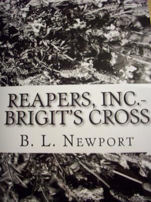 Cover of Reapers, Inc.: Brigit's Cross