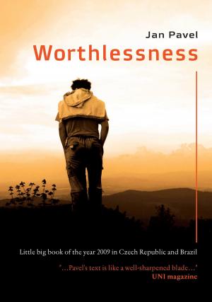 bigCover of the book Worthlessness by 
