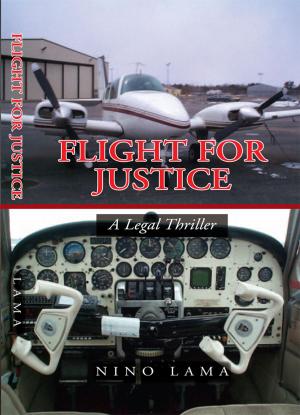 Book cover of Flight for Justice