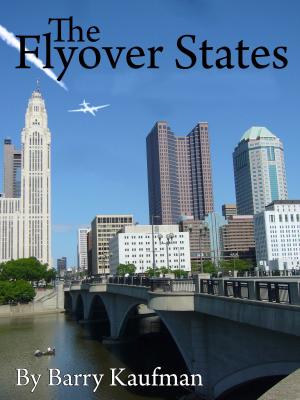 bigCover of the book The Flyover States by 