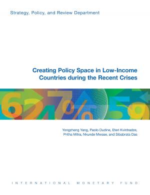 Book cover of Creating Policy Space in Low-Income Countries during the Recent Crises