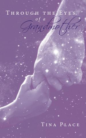 Cover of the book Through the Eyes of a Grandmother by Fenella Stevensen