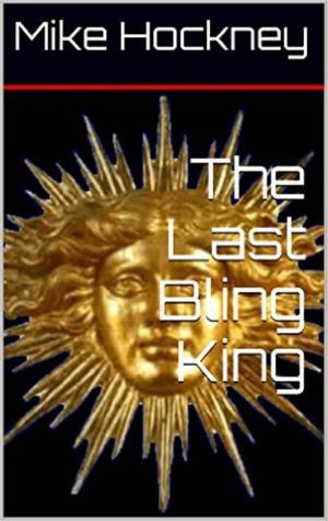 Book cover of The Last Bling King