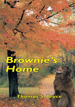 Book cover of Brownie's Home
