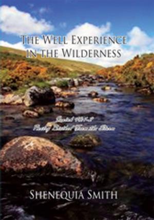 Book cover of The Well Experience in the Wilderness