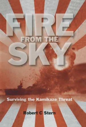Cover of the book Fire From the Sky by Malcolm Atkin