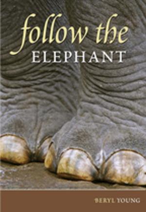 Cover of the book Follow the Elephant by Henry Rappaport
