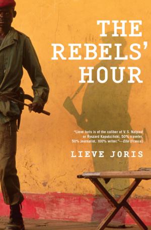 Cover of the book The Rebels' Hour by M. J. Hyland