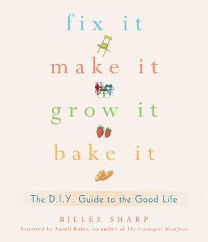 Cover of the book Fix It, Make It, Grow It, Bake It by Blythe Lipman