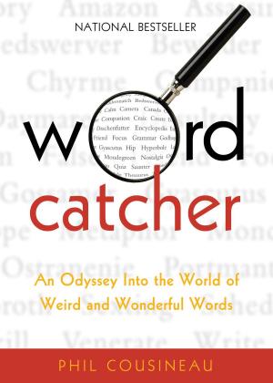 Cover of the book Wordcatcher by John Duffy