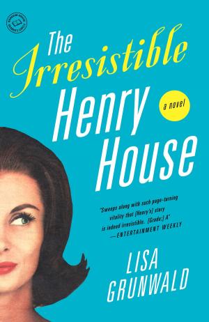 Cover of the book The Irresistible Henry House by Frank Delaney