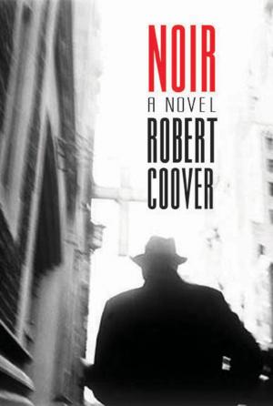 Cover of the book Noir by Erin Boyle